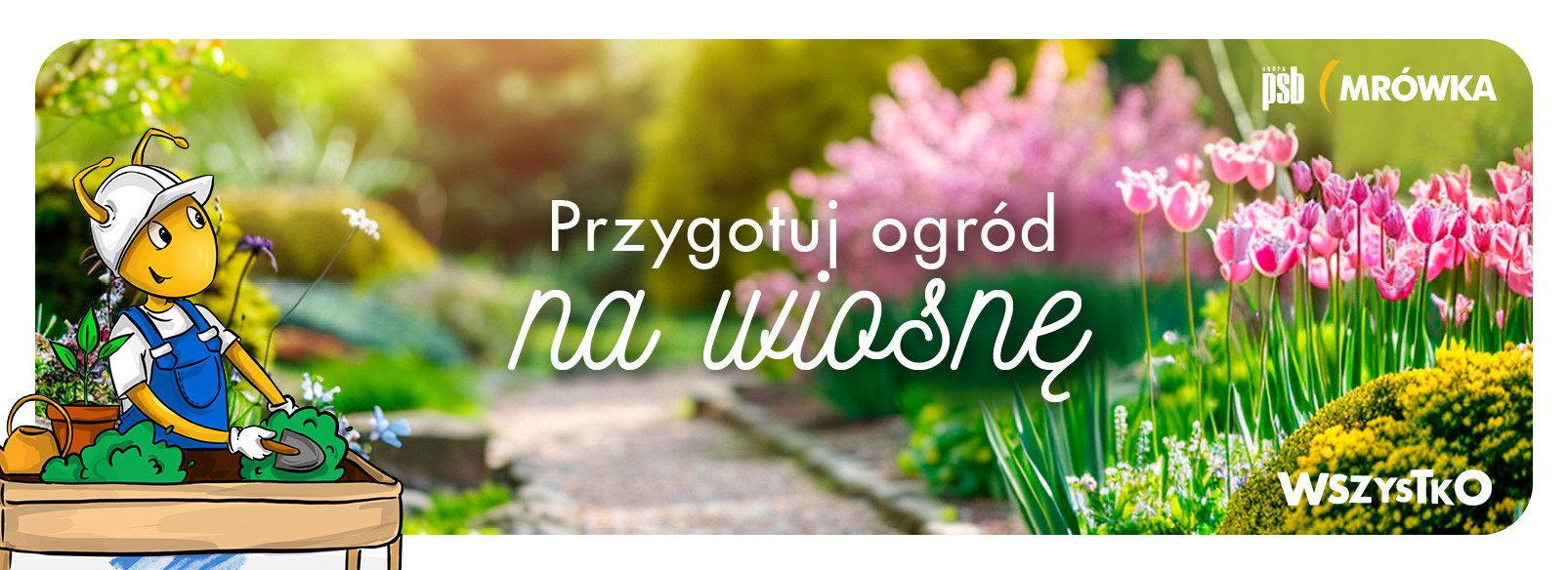 Grupa PSB mrowka Słomniki