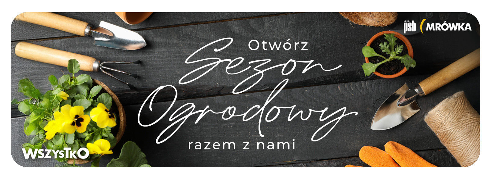 Grupa PSB mrowka Słomniki