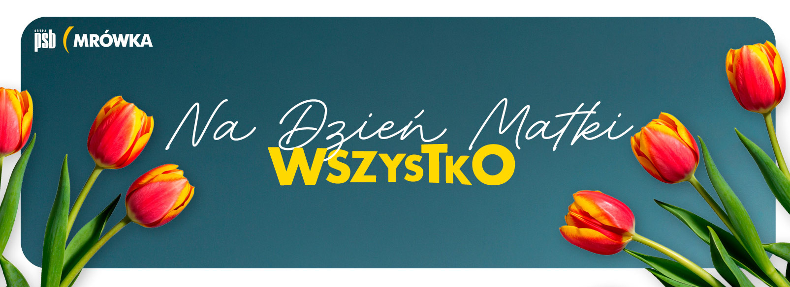 Grupa PSB mrowka Słomniki